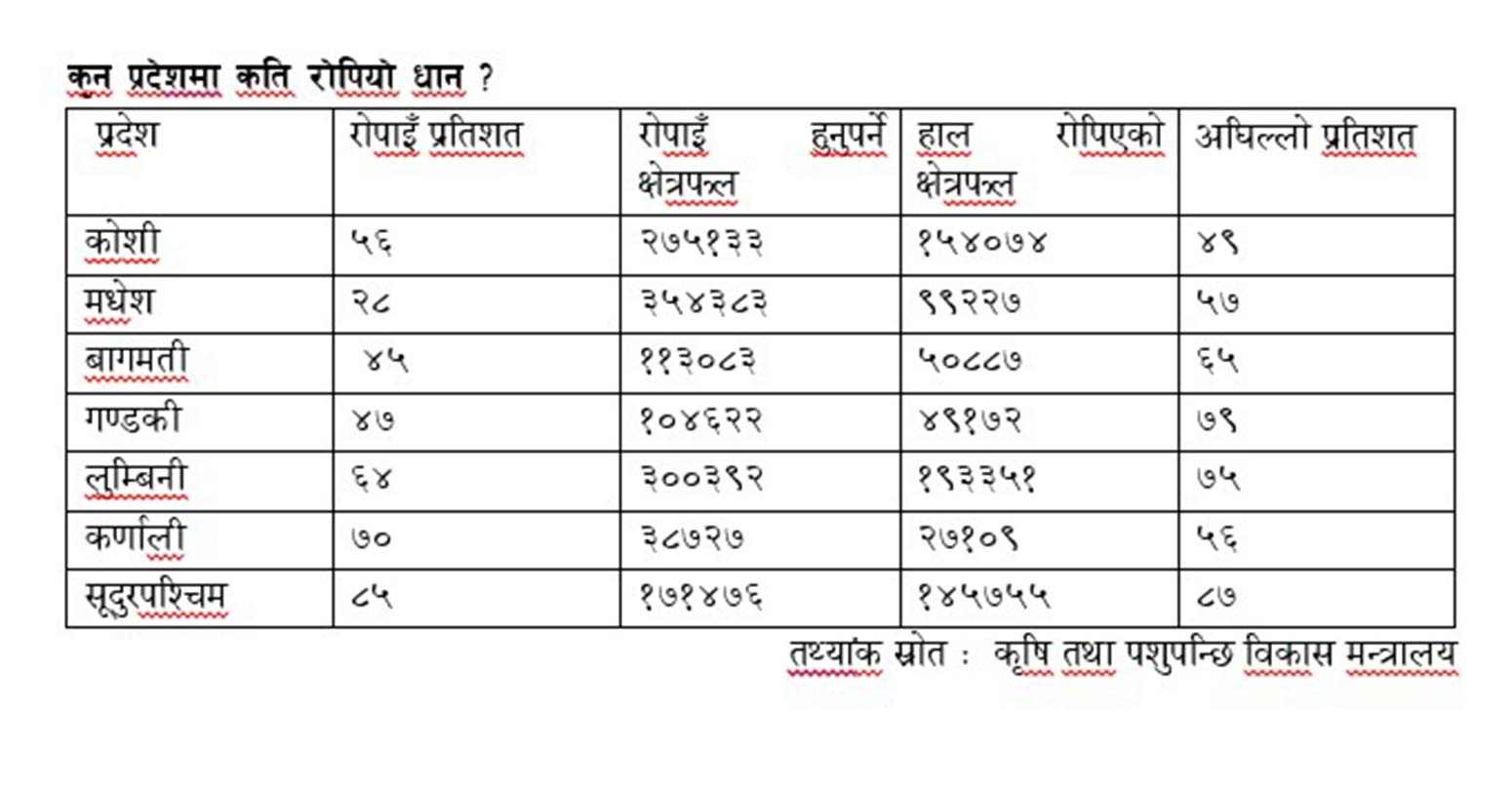 dhan-data.jpg'_'.2023-07-14